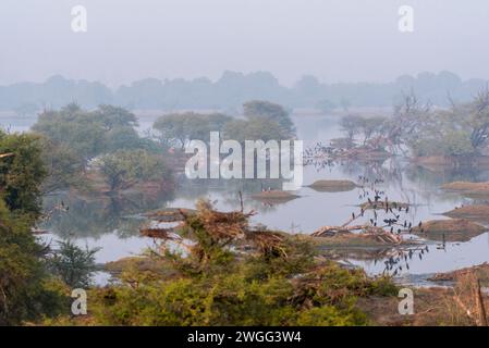 Ein Blick von oben auf die Landschaft in den Feuchtgebieten von Bharatpur, Rajasthan, Indien Stockfoto