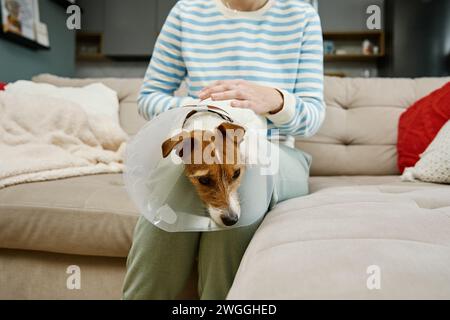 Frau streichelt Hund mit medizinischem Plastikhalsband zu Hause. Weibliche Besitzerin kümmern sich um einen süßen Hund mit elisabethanischem Kragen. Trauriger Jack Russell Terrier im Tierkegel Stockfoto
