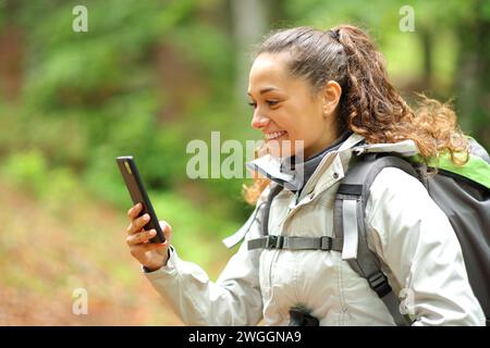 Glücklicher Wanderer, der das Handy überprüft, als er in einem Wald läuft Stockfoto