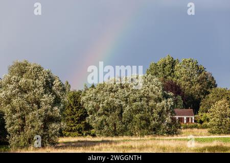 Isoliertes Haus inmitten eines Dickicht aus dichtem Laub an einem stürmischen Nachmittag. Regenbogen am bewölkten Himmel. Stockfoto