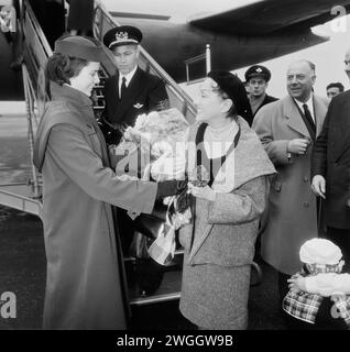 November 1955. Amsterdam, Niederlande. Ankunft der amerikanischen Filmstar Gloria Swanson in Schiphol. Sie reiste für eine amerikanische Nachrichtenagentur durch Europa. Der Generalverband für Auslandsverkehr, KLM und das Kurhaus hatten ihren Besuch ermutigt. Stockfoto