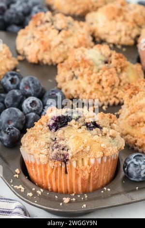 Eine frisch gebackene Pfanne Sauerteig wirft Blaubeermuffins auf Stockfoto