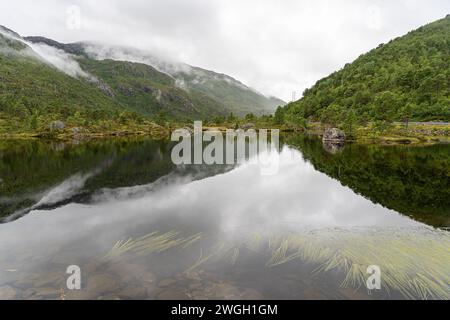 Ein Berg spiegelt sich in einem ruhigen See in der Nähe des Waldes in Norwegen Stockfoto