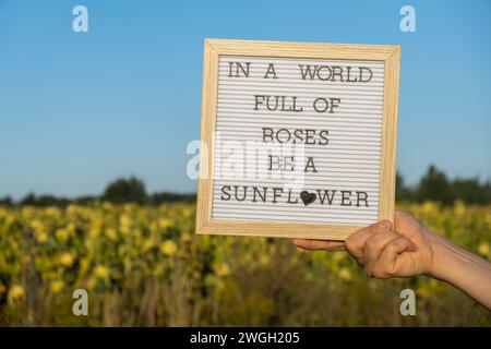 IN Einer WELT VOLLER ROSEN IST Ein SONNENBLUMENTEXT auf weißem Tafel neben dem Sonnenblumenfeld. Sonniger Sommertag. Inspirierendes Zitat zur Motivationsunterschrift. Ein einzigartiges Konzept Stockfoto