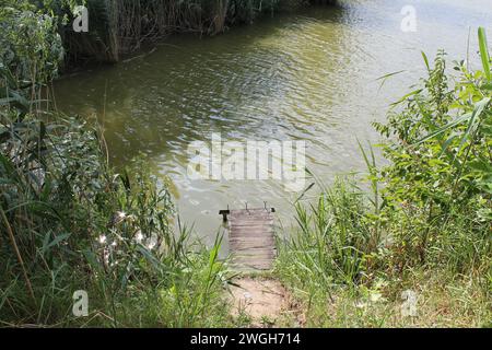 Horizontale Hochwinkelaufnahme eines fragilen, alten Holzfischereistegs über grünlichem Wasser, umgeben von Algen in Nyergesujfalu, Ungarn Stockfoto