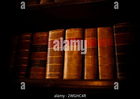 Französische Vintage-Hardcover-Gesetzbücher mit goldenem Schriftzug auf einem dunklen Holzregal, die eine klassische Bibliotheksatmosphäre vermitteln. Stockfoto