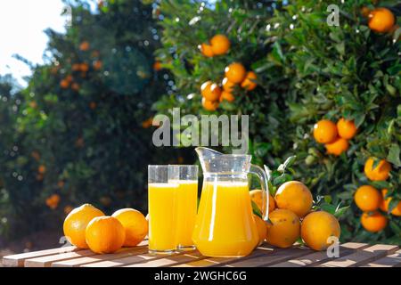 Kanne und Gläser frisch gepresster Orangensaft mit Orangen im Sommer im Freien Stockfoto