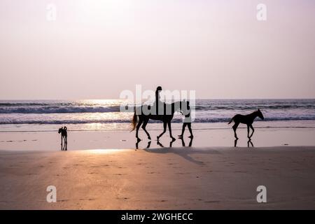 Agonda, Goa, Indien, Touristen, die am Strand reiten, nur Redaktion. Stockfoto