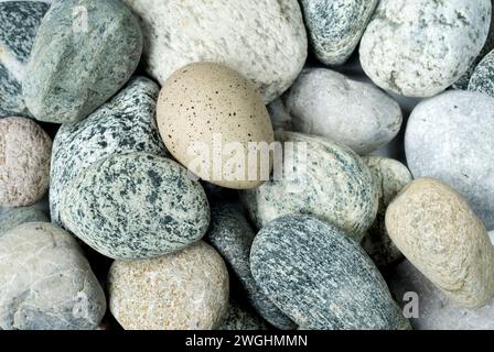 Ein getarntes Ei liegt zwischen Kieseln, Vogelarten unbekannt Stockfoto