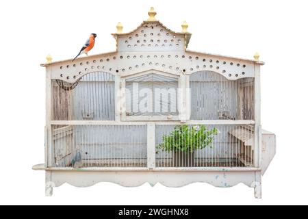 Alte weiß gemalte hölzerne Vogelkäfig mit kleinen roten Vogel isoliert auf einem weißen Hintergrund Stockfoto
