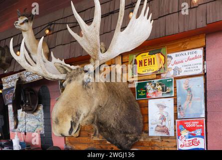 Gefüllter Elchkopf an der Wand der Route 66 usa montiert Stockfoto