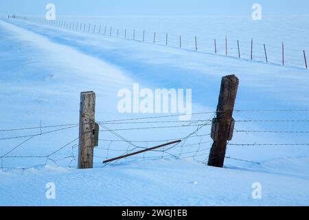 Vieh-Zaun am Klamath Marsh im Winter, Klamath County, Oregon Stockfoto