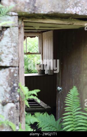 Ein alter Eimer steht im Fenster eines verlassenen Bauernhauses, mit Farnen, die um die Tür wachsen Stockfoto