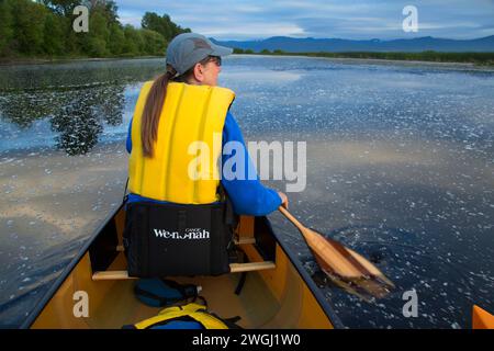 Kanu, Wood River Wetland, Klamath Falls District Büro des Land-Managements, Oregon Stockfoto