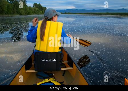 Kanu, Wood River Wetland, Klamath Falls District Büro des Land-Managements, Oregon Stockfoto