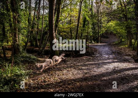 Eine hölzerne Skulptur von Ottern neben der Otter Bridge im Tehidy Woods Country Park in Cornwall, Großbritannien. Stockfoto