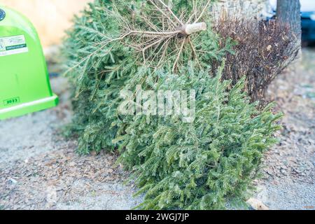 Farbbild eines entsorgten Weihnachtsbaums, draußen an der Seite in der Nähe von Mülltonnen Stockfoto