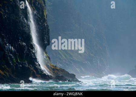 Küste Wasserfall, Cape Lookout State Park, Oregon Stockfoto