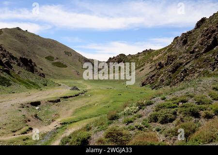 Blick auf Yolyn, den fantastischen george in der Mongolei Stockfoto