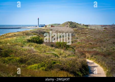 Ein gewundener Pfad schlängelt sich an einem klaren blauen Himmel durch die grasbewachsenen Dünen entlang der Küste in der Nähe von Westkapelle und bietet eine ruhige Reise in die Natur Stockfoto