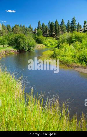 Sprague River, Fremont National Forest, Oregon Stockfoto