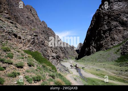 Blick auf Yolyn, den fantastischen george in der Mongolei Stockfoto