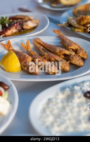 Gebratene Rotbarbe Fischteller auf dem Tisch Stockfoto