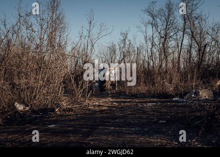 Ukraine. November 2023. © Adrien Vautier/Le Pictorium/MAXPPP - 28/11/2023 Adrien Vautier/Le Pictorium - 28/11/2023 - Ukraine - Sur la Route du Front de Bakhmout. Le 28. November 2023. - Valeurs ACtuelles raus, kein jdd, jdd raus, RUSSLAND RAUS, KEIN RUSSLAND #norussia/28/11/2023 - Ukraine - auf dem Weg zur Bachmout-Front. November 2023. Quelle: MAXPPP/Alamy Live News Stockfoto