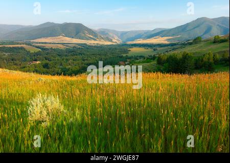 Die Ausläufer der Bear Tooth Mountains bei Sonnenaufgang vom Bear Tooth Mountain Pass Highway aus gesehen an einem schönen Sommermorgen. Montana, USA. Stockfoto