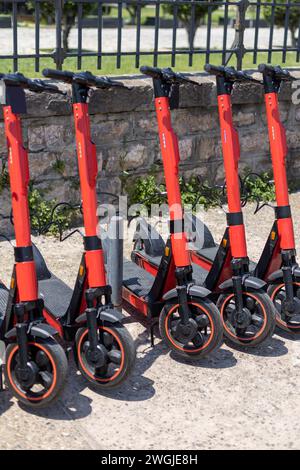 Viele Elektroroller können gemietet werden Stockfoto