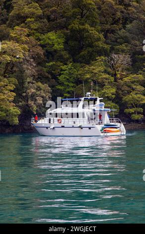 Übernachtung im Touristenschiff Doubtful Sound /Patea, Fiordland /Te Rua-o-te-Moko, Neuseeland / Aotearoa, Südinsel /Te Waipounamu, Südland / Stockfoto