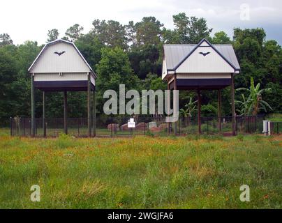 Gainesville, Florida, USA - 19. Mai 2015: Die berühmten Fledermaushäuser in der University of Gainesville. Stockfoto