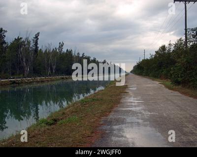 Am frühen Morgen in einem Kanal an der Zufahrtsstraße zum Biscayne-Nationalpark. Stockfoto