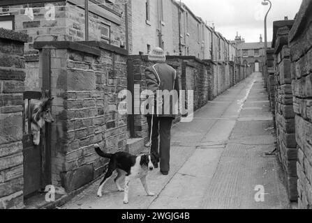 Eine Frau, die ihren Hund die Gasse zwischen Häuserreihen hinaufführt. Saltaire Shipley, Bradford, West Yorkshire England 1981. Saltaire war ein viktorianisches Modelldorf, das um die Salts Mill herum gebaut wurde und nach Sir Titus Salt benannt wurde. HOMER SYKES AUS DEN 1980ER JAHREN Stockfoto