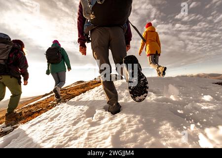Gruppe von sportlichen jungen Touristen mit Rucksäcken Spaziergänge auf der Bergspitze. Nahaufnahme von Wanderbeinen und Silhouetten Stockfoto