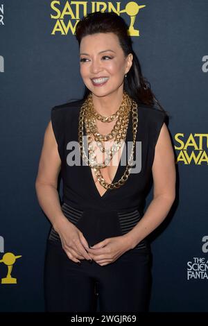 Ming-Na Wen bei der Verleihung der 51. Saturn Awards 2024 im Los Angeles Marriott Burbank Airport Hotel. Burbank, 04.02.2024 *** Ming Na Wen bei der Verleihung der Saturn Awards 51 2024 im Los Angeles Marriott Burbank Airport Hotel Burbank, 04 02 2024 Foto:xD.xStarbuckx/xFuturexImagex saturn 4422 Stockfoto