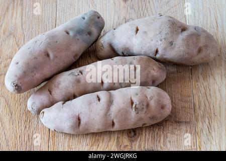 Rosafarbener Tannenapfel sind eine traditionelle Varietät von Pflanzkartoffeln. Stockfoto