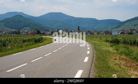 Kaysersberg-Vignoble, Elsass, Frankreich - 11. Juni 2021: Historische elsässische Stadt, umgeben von Weinbergen, traditionelle Weinregion Stockfoto