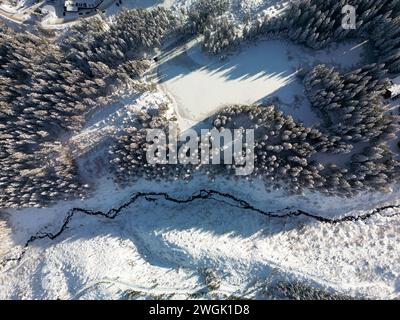 Aus der Vogelperspektive des Winterkiefernwaldes am Berg der Niederen Tatra in der Slowakei. Drohne über dem Blick auf die verschneite Landschaft mit Tannenspitzen auf Hügeln bei kaltem Wetter, kurvenreiche, gewundene Pfade bei Sonnenuntergang Stockfoto