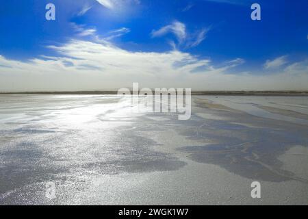 (Marsh) flaches Sedimentwasserbecken nicht voll mit Wasser Stockfoto