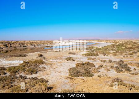 (Marsh) flaches Sedimentwasserbecken nicht voll mit Wasser Stockfoto