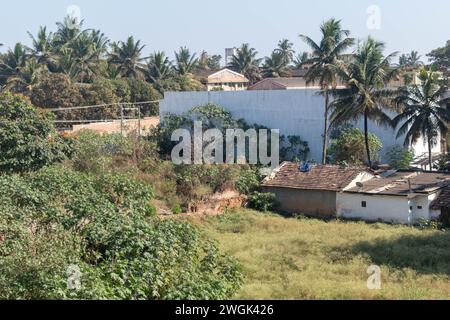 Hassan, Karnataka, Indien - 10. Januar 2023: Die bezaubernde Landschaft eines kleinen Dorfes in Hassan, Karnataka, geschmückt mit anmutigen Palmen. Stockfoto