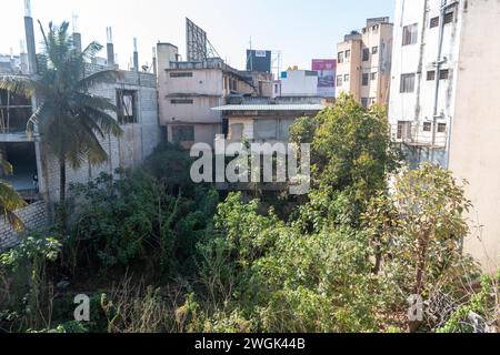 Hassan, Karnataka, Indien – 10. Januar 2023: Eine überwachsene urbane Szene, in der die Natur verlassene Strukturen zurückerobert. Stockfoto