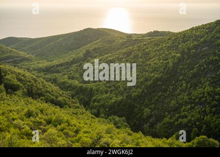 Pinien bei Sonnenuntergang, Olivenhaine und Meerblick auf einer griechischen Insel. Mediterraner Sonnenuntergang vom Aussichtspunkt Agalas. Sitzen und den Sonnenuntergang in Zakynth beobachten Stockfoto