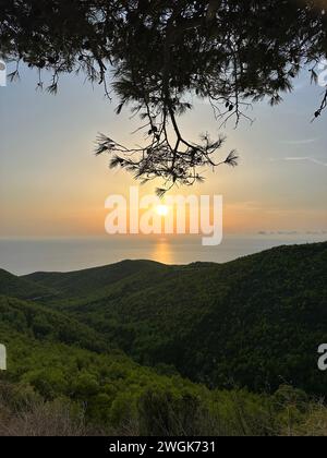 Pinien bei Sonnenuntergang, Olivenhaine und Meerblick auf einer griechischen Insel. Mediterraner Sonnenuntergang vom Aussichtspunkt Agalas. Sitzen und den Sonnenuntergang in Zakynth beobachten Stockfoto