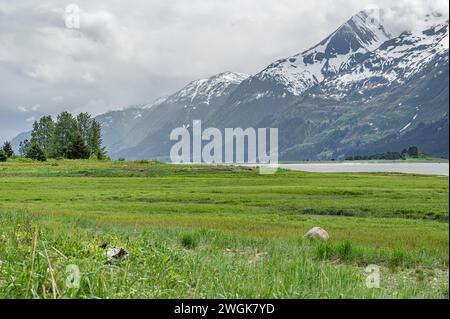 Berge über dem Westarm des Chilkat Inlet Stockfoto