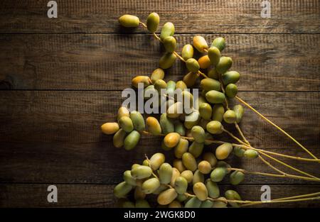 Studio-Aufnahme von rohen, unreifen Daten auf dem hölzernen Hintergrund. Ein Haufen arabischer Dattelfrüchte, die vom Baum gerupft wurden. Stockfoto