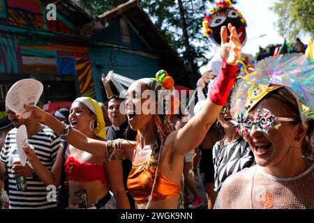 Straßenkarnevalsparade in Rio de Janeiro. Bei der Karnevalsparade Bloco das Carmelitas treten die Besucher in den Straßen des Stadtteils Santa Teresa auf Stockfoto