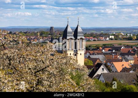 Dorf Ockstadt, Teil der Stadt Friedberg, Hessen, Deutschland, Europa, mit der katholischen Pfarrkirche St. Jakob während der Kirschblüte. Stockfoto