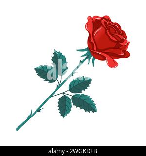 Hand gezeichnete Vektorillustration einer Rosenknospe. Rote Rosenblüte mit Stiel und Blättern Stock Vektor